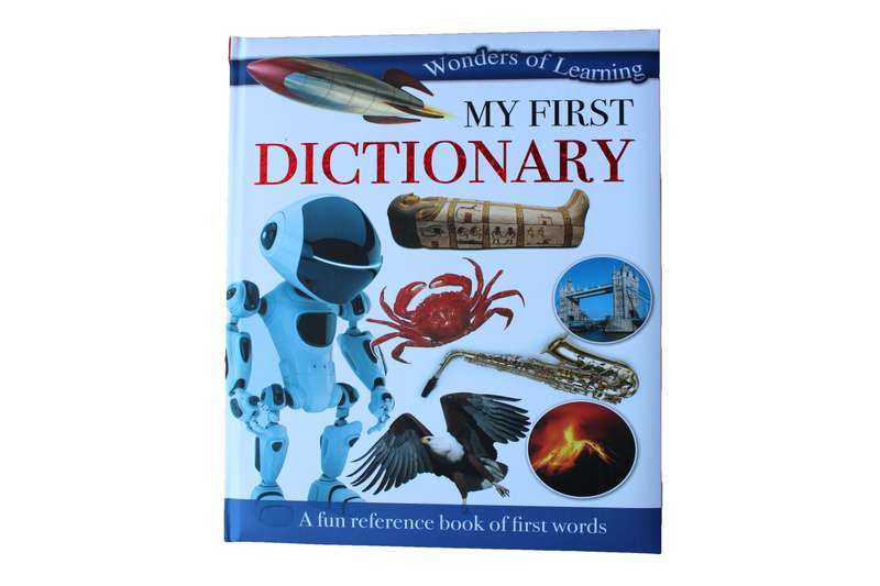 My First Dictionary Book