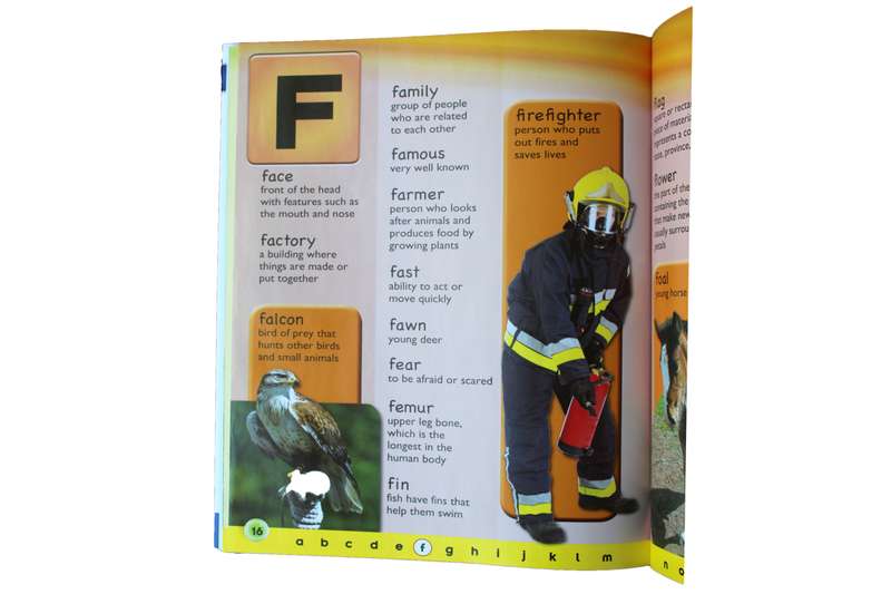 My First Dictionary Book