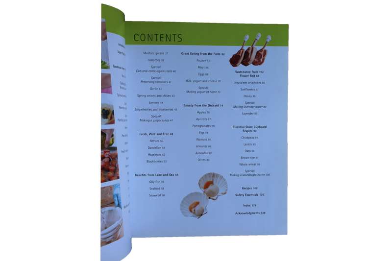 Super Foods for Pregnancy