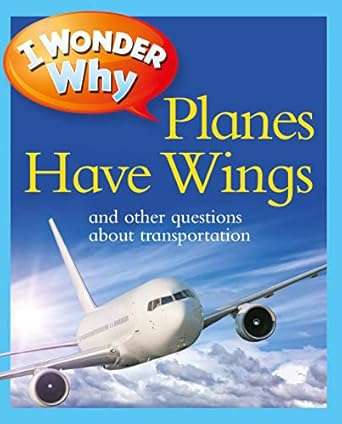 I Wonder Why Planes Have Wings