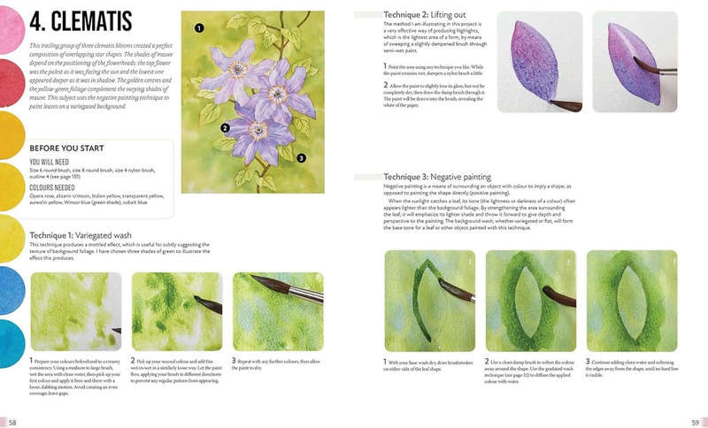 Anyone Can Paint Watercolour Flowers
