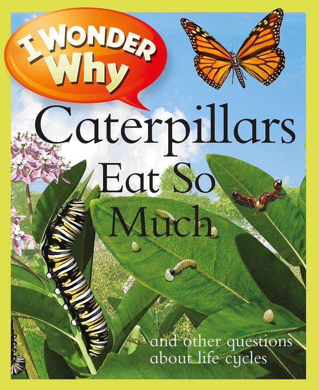 I Wonder Why Caterpillars Eats So Much
