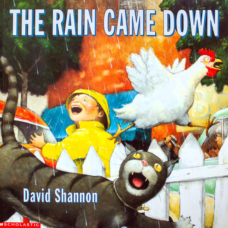Rain Came down