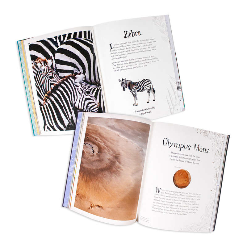 Children's Anthologies Collection