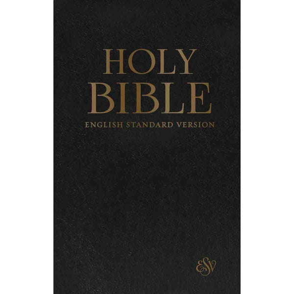 Holy Bible (Black)