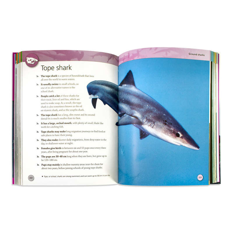 Encyclopedia of Sharks