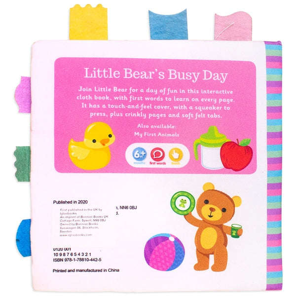 Little Bear's Busy Day