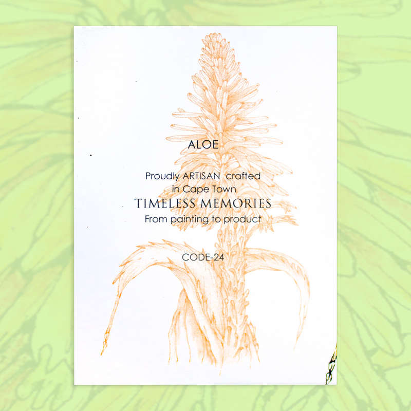 Notebook A7 Aloe