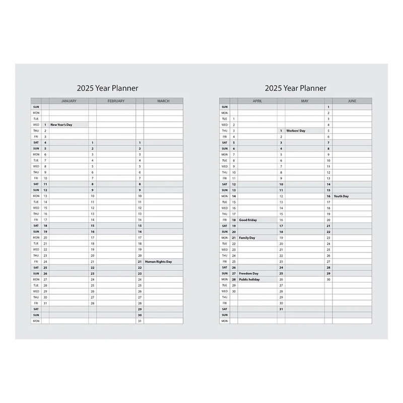 A5 Daily Planner 2025 Abstract David
