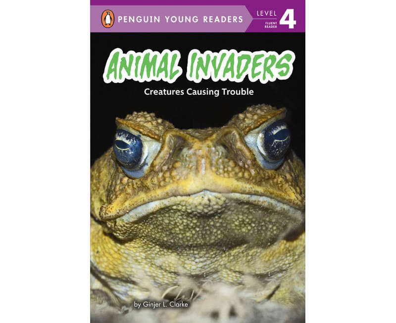 Animal Invaders