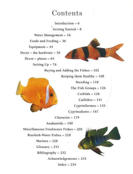 Aquarium Fish