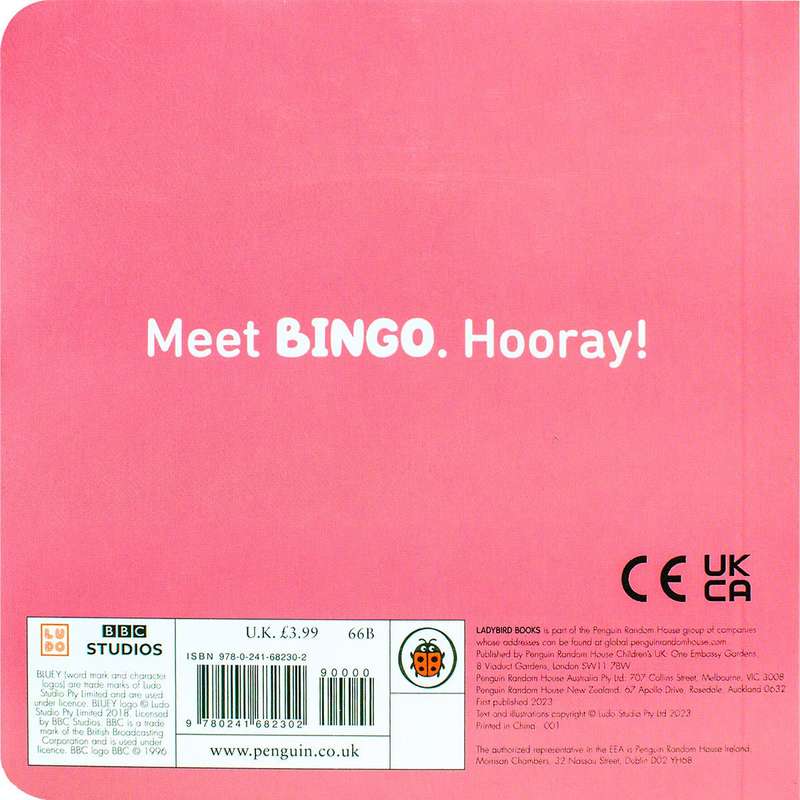 Bluey: Bingo