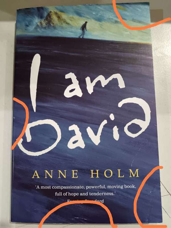 I Am David