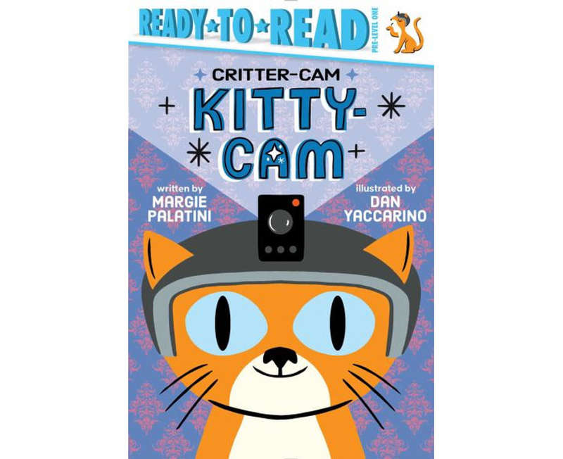 Kitty-Cam