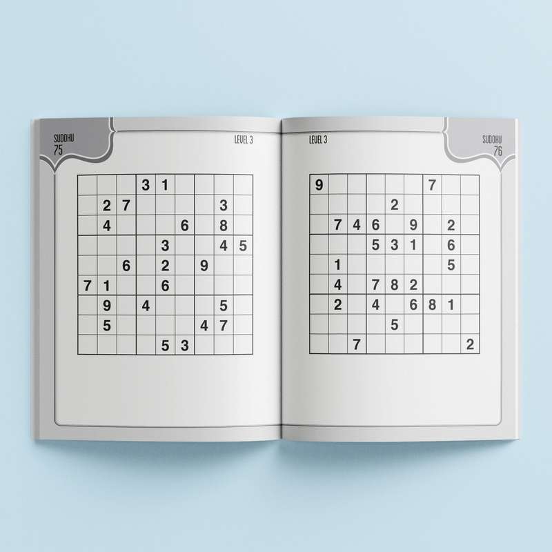 Large Print Puzzles Sudoku
