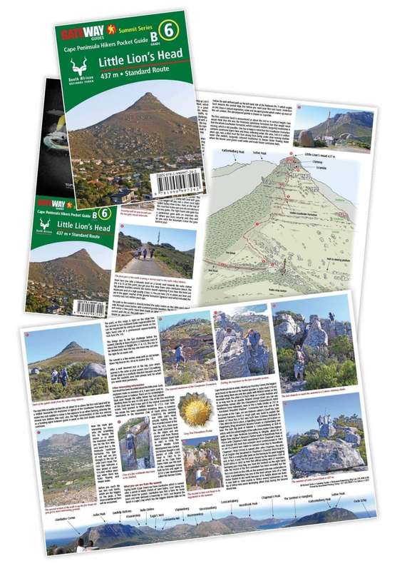 Little Lions Head Guide B Grade Pocket Book