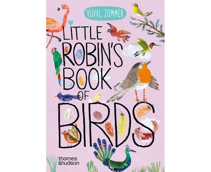 Little Robin's Book of Birds