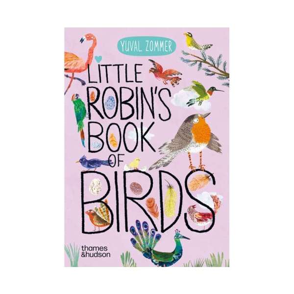 Little Robin's Book of Birds