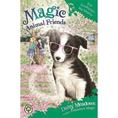 Magic Animal Friends - Evie Scruffypup's Big Surprise