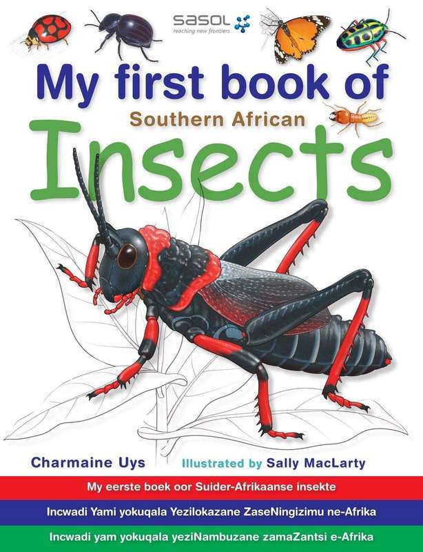 My First Book Of Southern African Insects