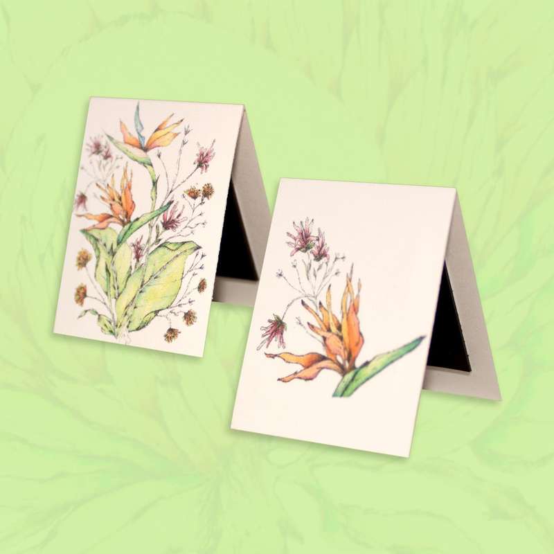 Strelitzia Page Marker