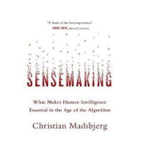 Sensemaking