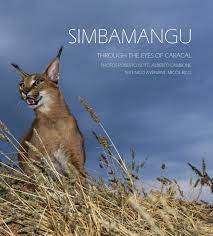 Simbamangu