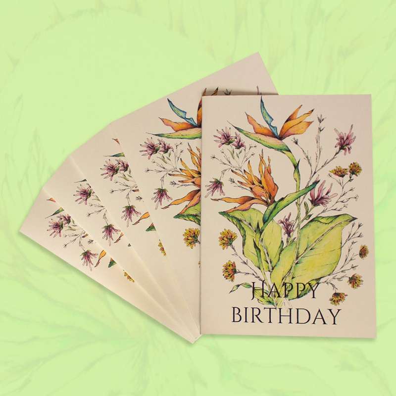 Strelitzia Greeting Card Pack