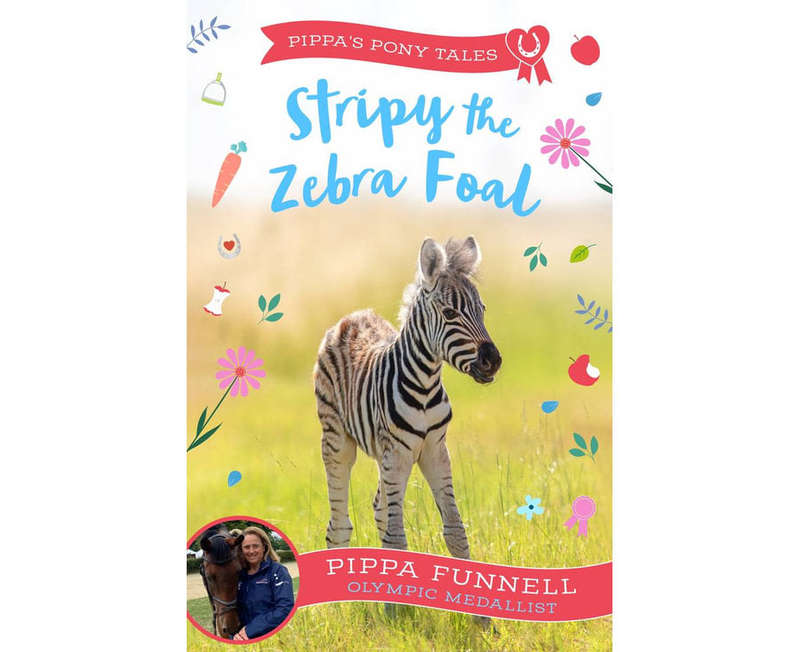 Stripy the Zebra Foal