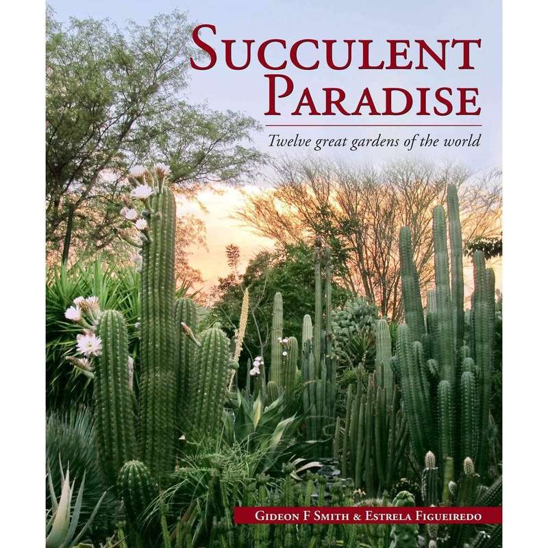 Succulent Paradise