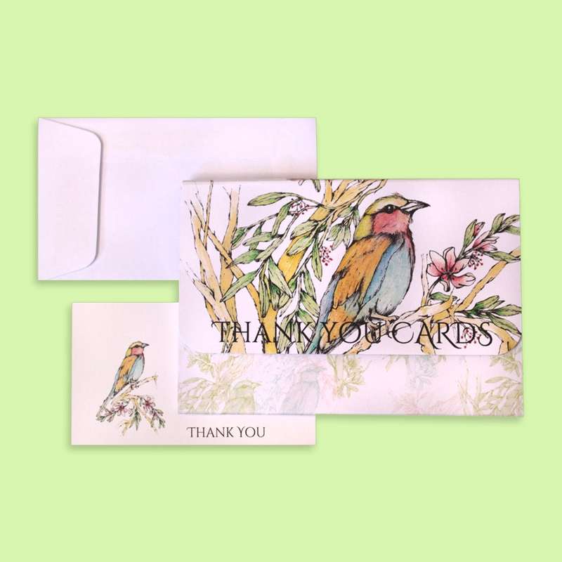 Thank You Cards Box Set