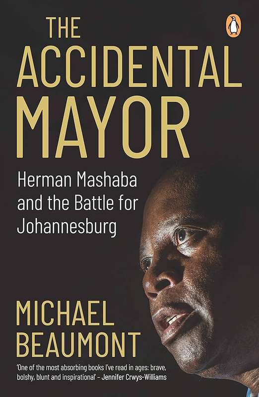 The Accidental Mayor