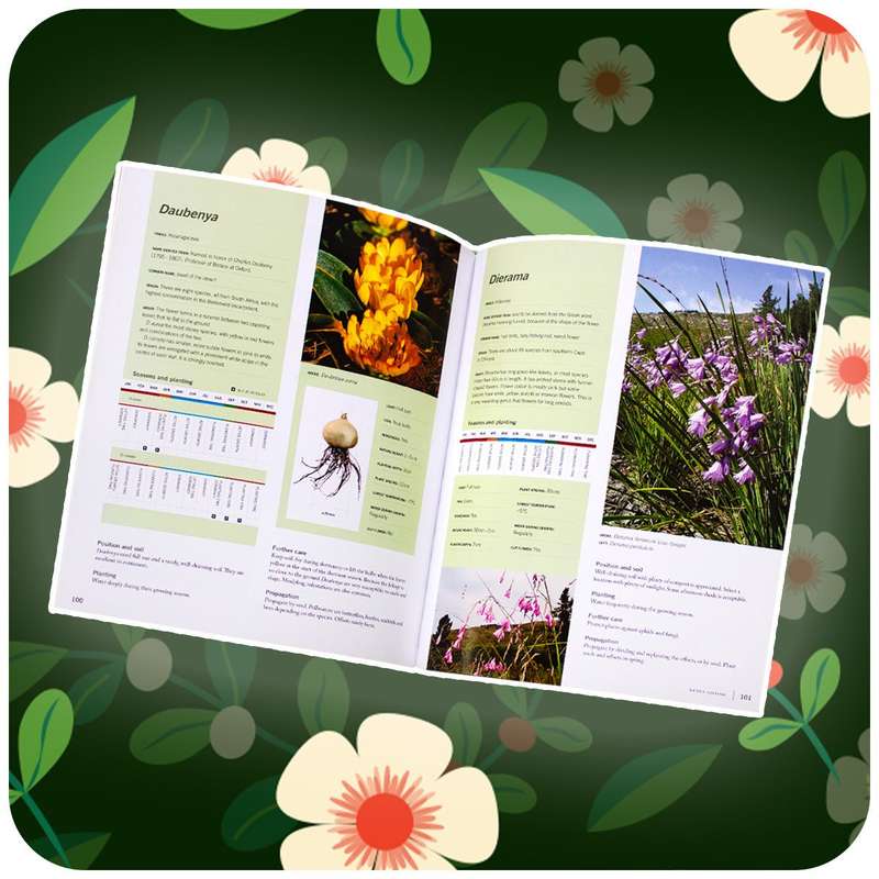 The Bulb Book
