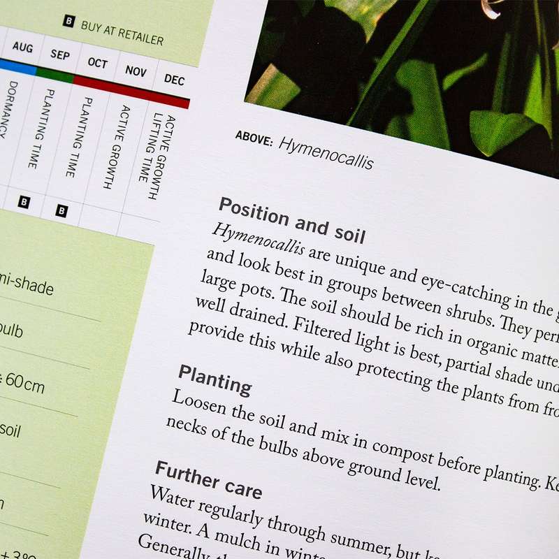 The Bulb Book