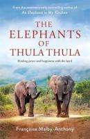 The Elephants Of Thula Thula - Signed