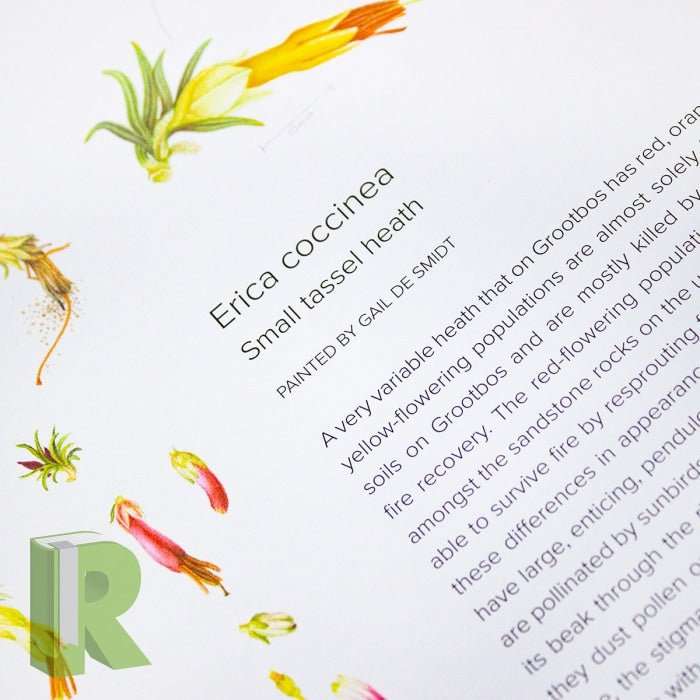 The Grootbos Florilegium