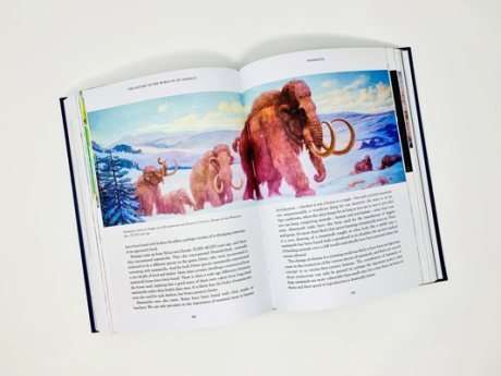 The History of the World in 100 Animals