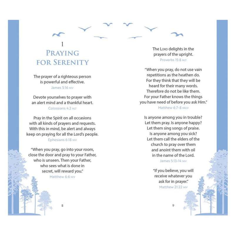 The Serenity Prayer Promise Book