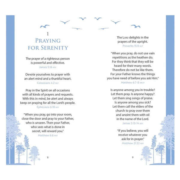 The Serenity Prayer Promise Book