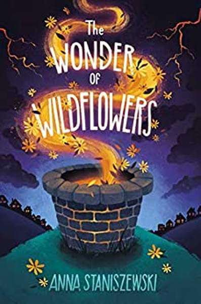 The Wonder Of Wildflowers