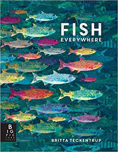 There are Fish Everywhere