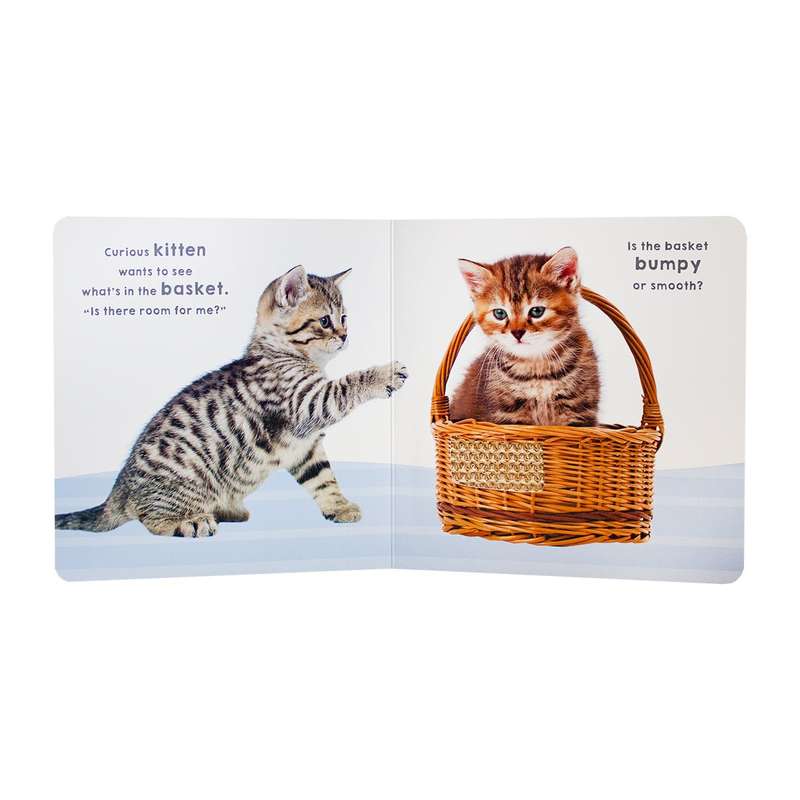 Touch & Feel - Kitten And Friends