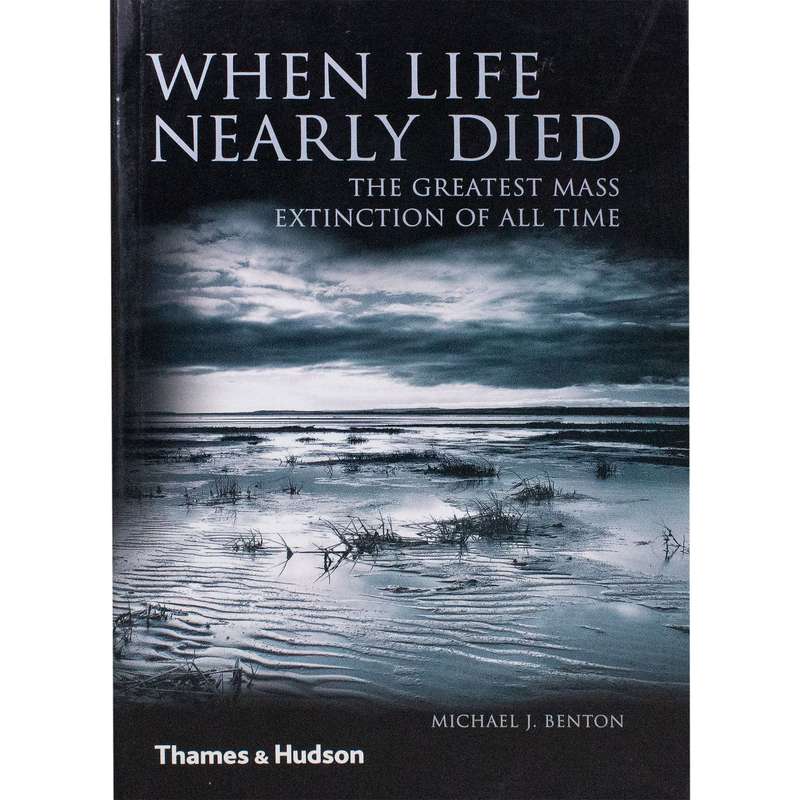 When Life Nearly Died
