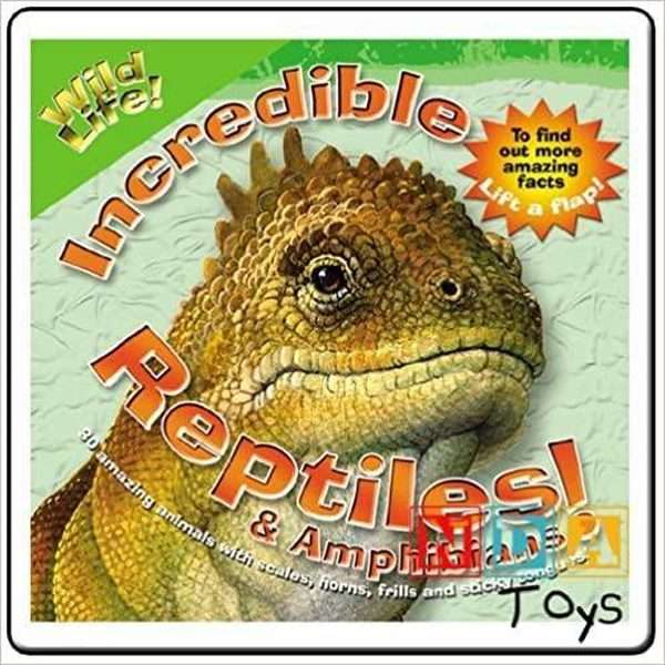 Wild Life Incredible Reptiles And Amphibians