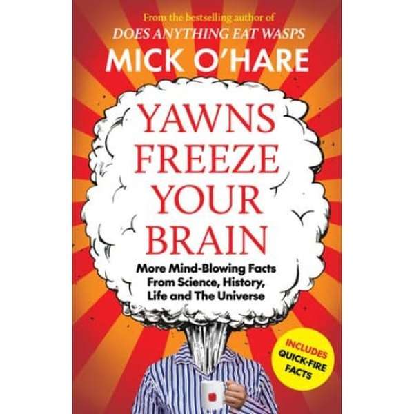Yawns Freeze Your Brain