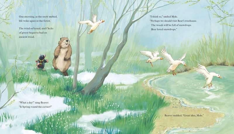 Goodbye, Bear