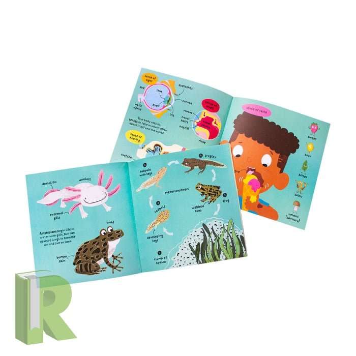 Big Words For Little Experts Book Collection