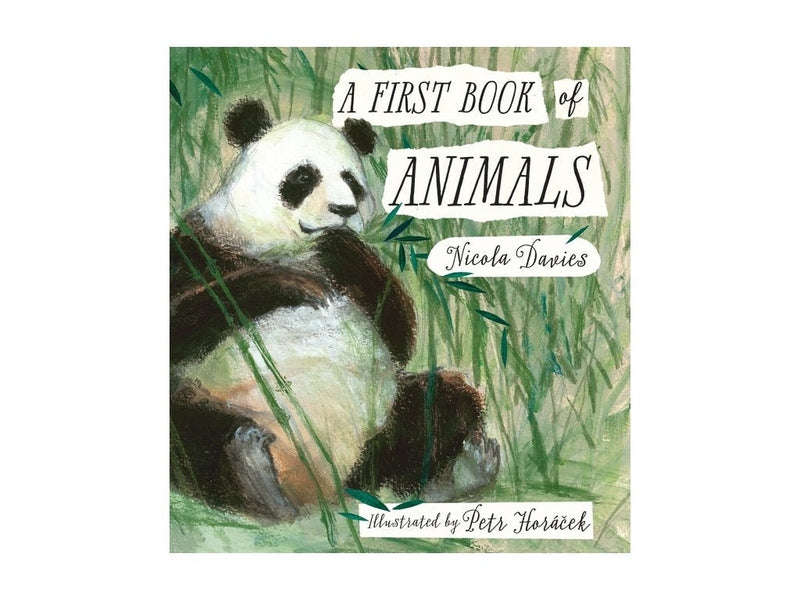 A First Book Of Animals
