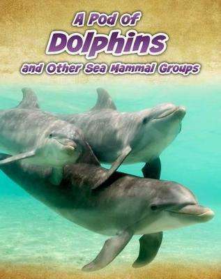 A Pod Of Dolphins