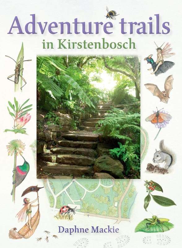 Adventure Trails In Kirstenbosch
